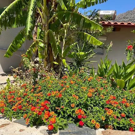 Vila House Gylisma *